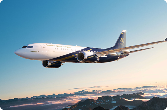 VIP Airliner